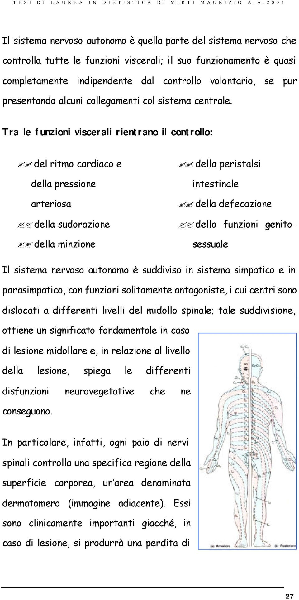 Tra le funzioni viscerali rientrano il controllo: del ritmo cardiaco e della pressione arteriosa della sudorazione della minzione della peristalsi intestinale della defecazione della funzioni