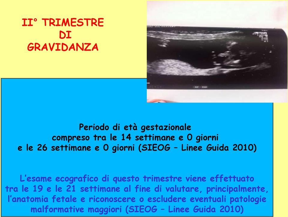 viene effettuato tra le 19 e le 21 settimane al fine di valutare, principalmente, l anatomia