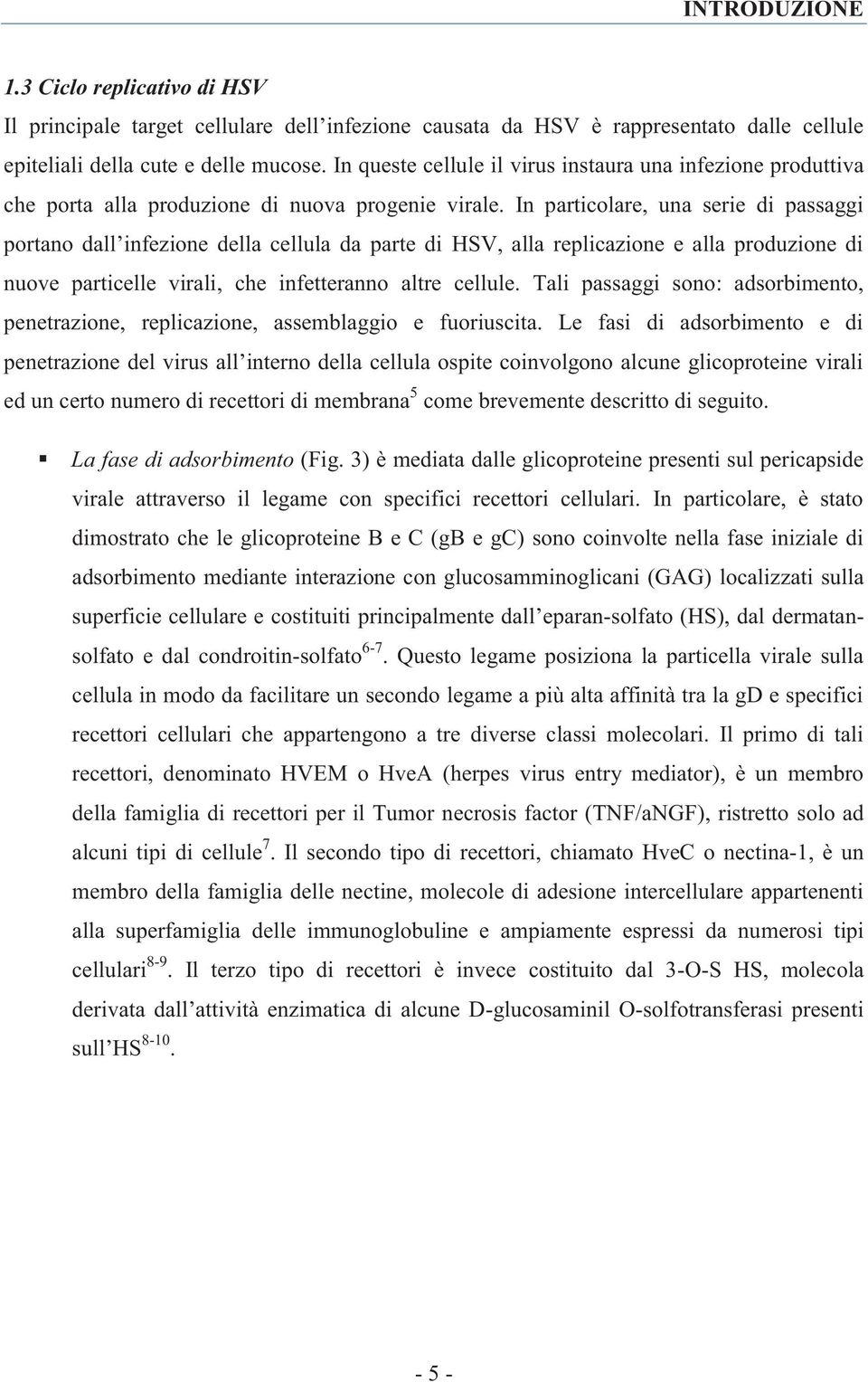 In particolare, una serie di passaggi portano dall infezione della cellula da parte di HSV, alla replicazione e alla produzione di nuove particelle virali, che infetteranno altre cellule.