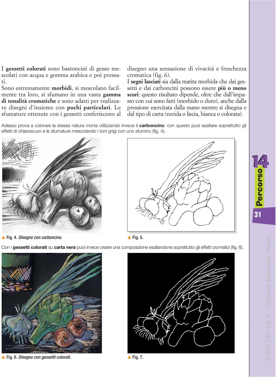 Le sfumature ottenute con i gessetti conferiscono al disegno una sensazione di vivacità e freschezza cromatica (fig. 6).