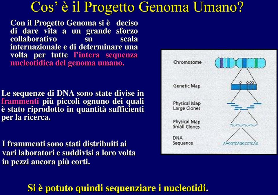 volta per tutte l intera sequenza nucleotidica del genoma umano.