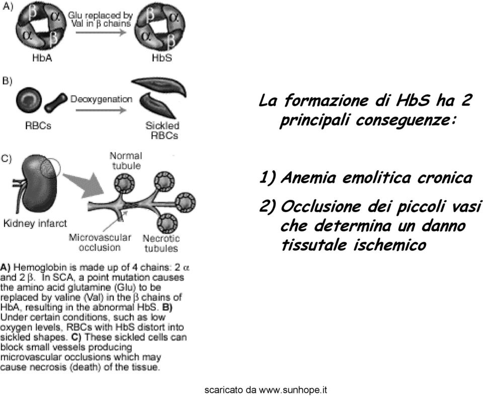 cronica 2) Occlusione dei piccoli