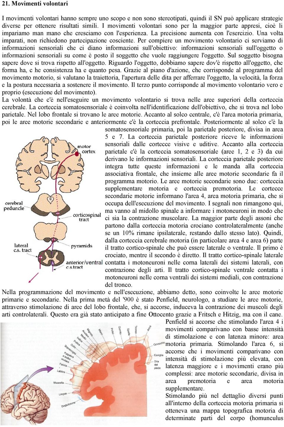 Una volta imparati, non richiedono partecipazione cosciente.