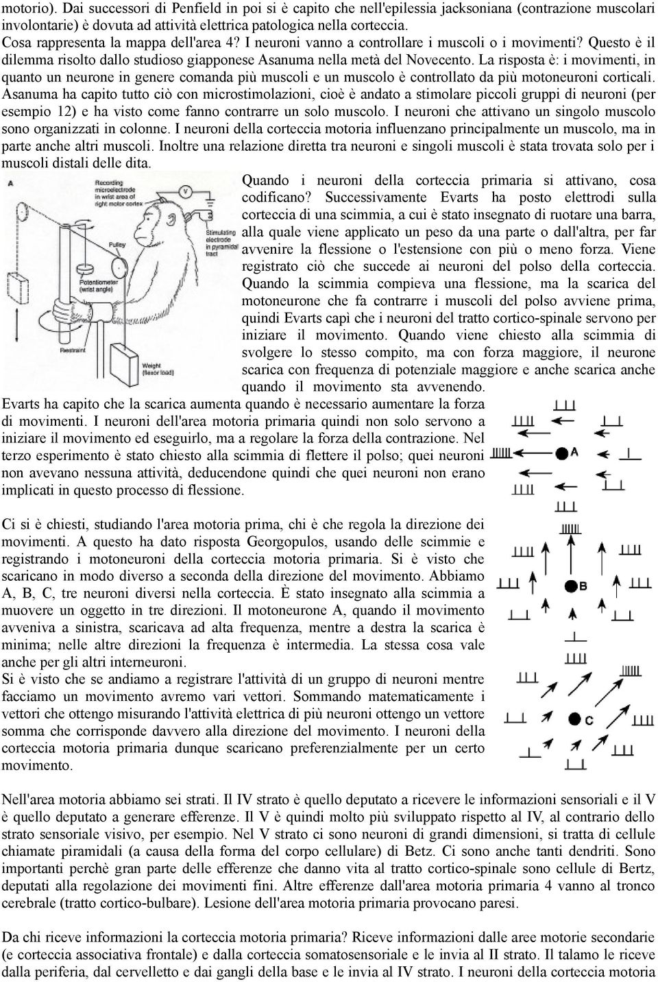 La risposta è: i movimenti, in quanto un neurone in genere comanda più muscoli e un muscolo è controllato da più motoneuroni corticali.