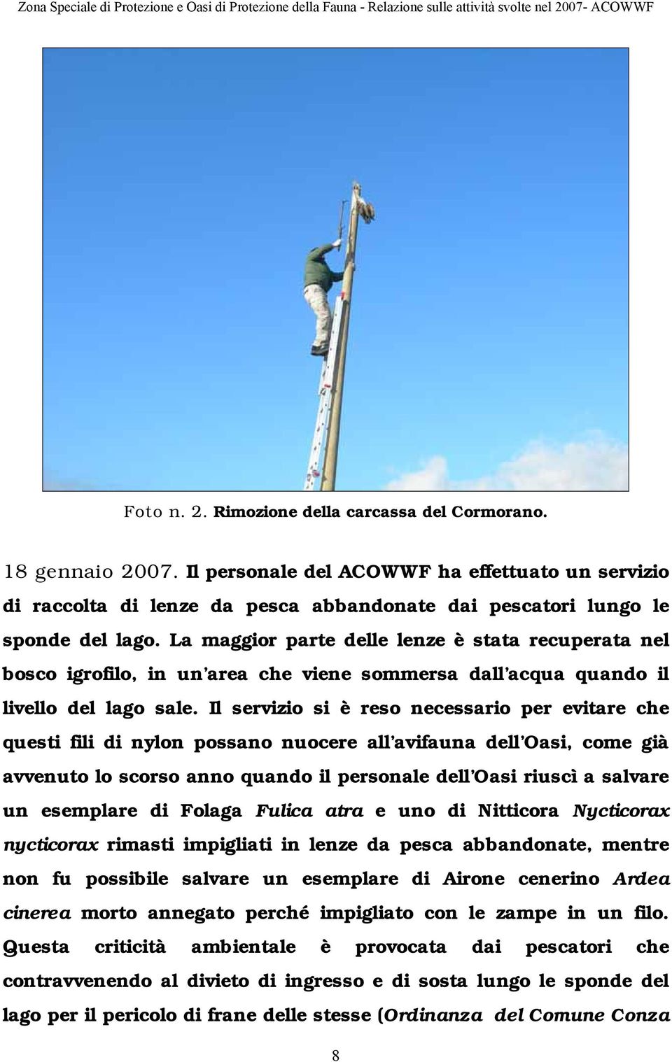 Il servizio si è reso necessario per evitare che questi fili di nylon possano nuocere all avifauna dell Oasi, come già avvenuto lo scorso anno quando il personale dell Oasi riuscì a salvare un