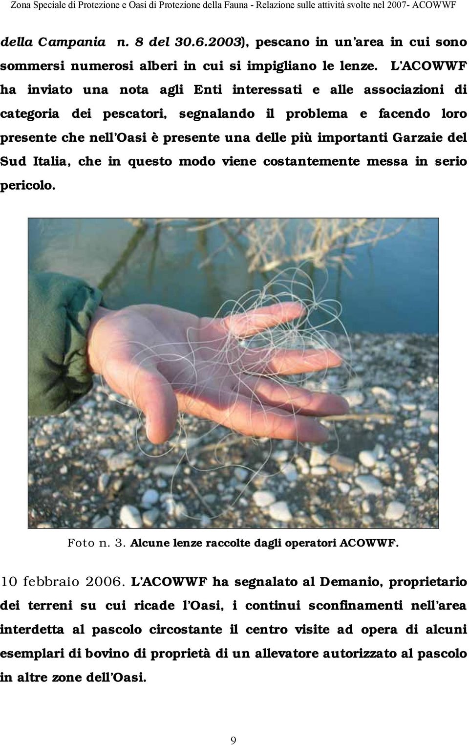importanti Garzaie del Sud Italia, che in questo modo viene costantemente messa in serio pericolo. Foto n. 3. Alcune lenze raccolte dagli operatori ACOWWF. 10 febbraio 2006.