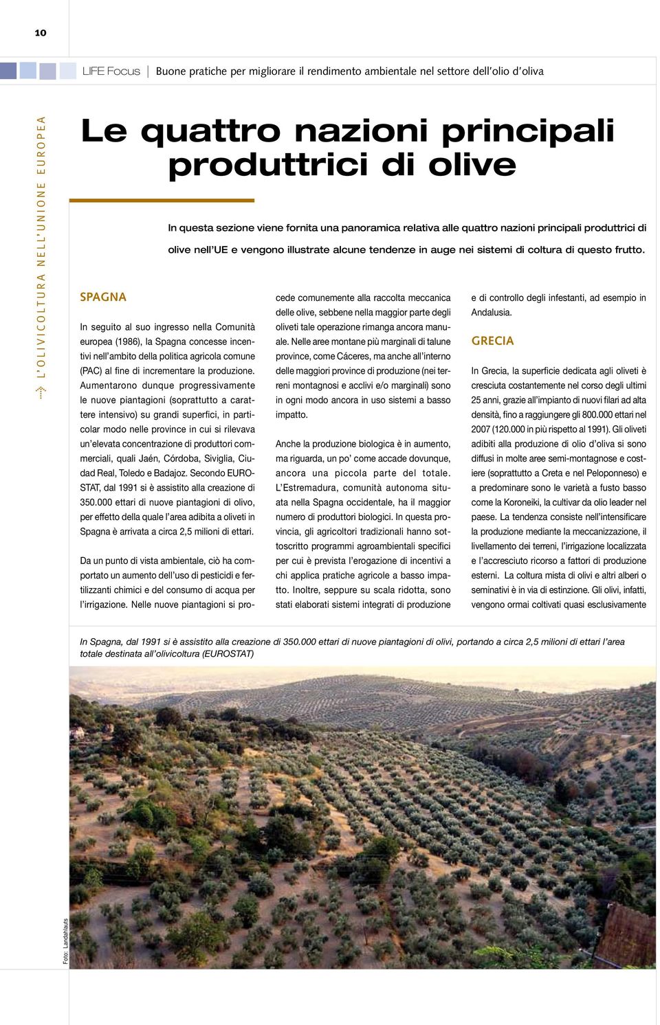 Le aziende olivicole variano da molto piccole (meno di 0,5 ha) a molto grandi (oltre 500 ha) e le piantagioni da tradizionali e scarsamente intensive a intensive e con un elevato grado di