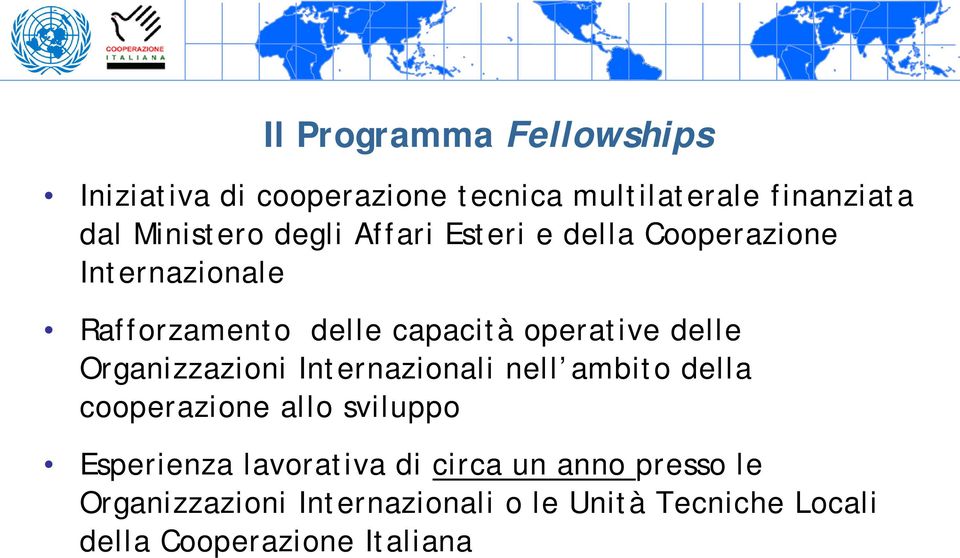 Organizzazioni Internazionali nell ambito della cooperazione allo sviluppo Esperienza lavorativa di