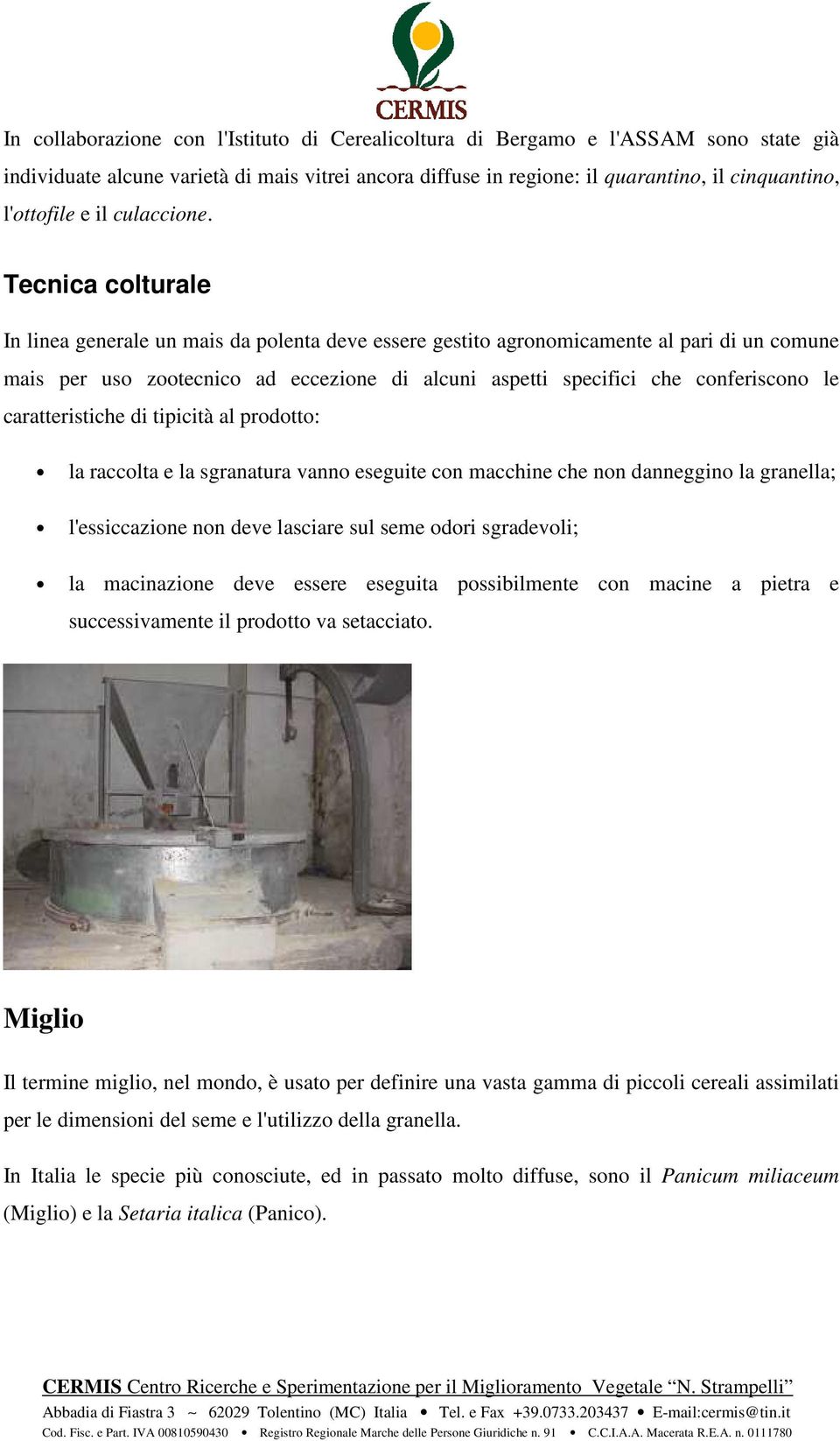 Tecnica colturale In linea generale un mais da polenta deve essere gestito agronomicamente al pari di un comune mais per uso zootecnico ad eccezione di alcuni aspetti specifici che conferiscono le