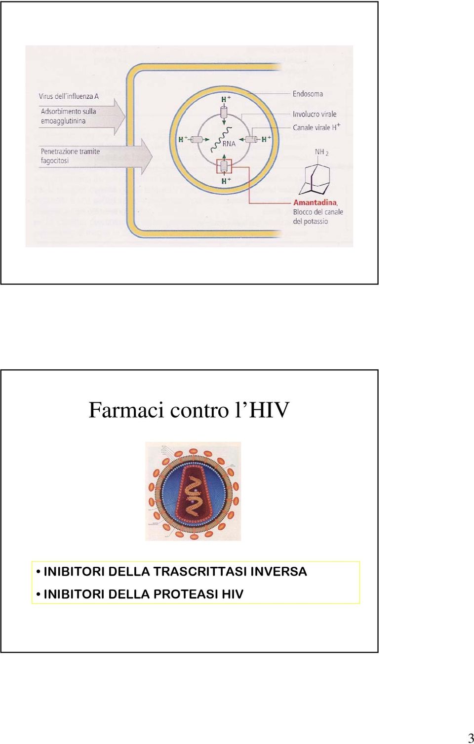 TRASCRITTASI INVERSA 