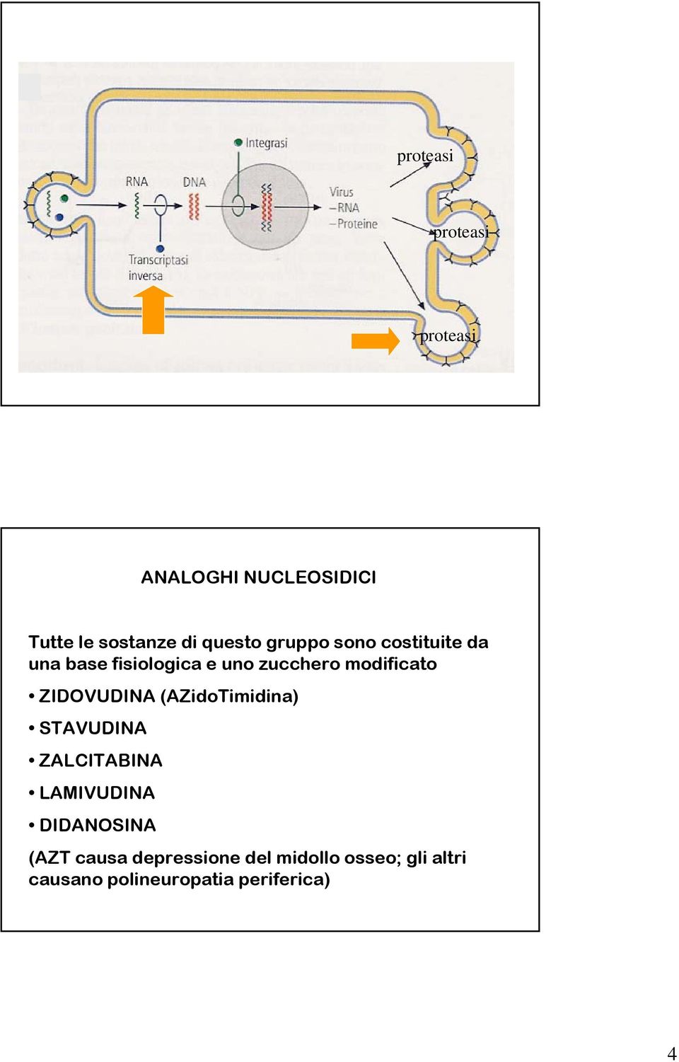 ZIDOVUDINA (AZidoTimidina) STAVUDINA ZALCITABINA LAMIVUDINA DIDANOSINA (AZT