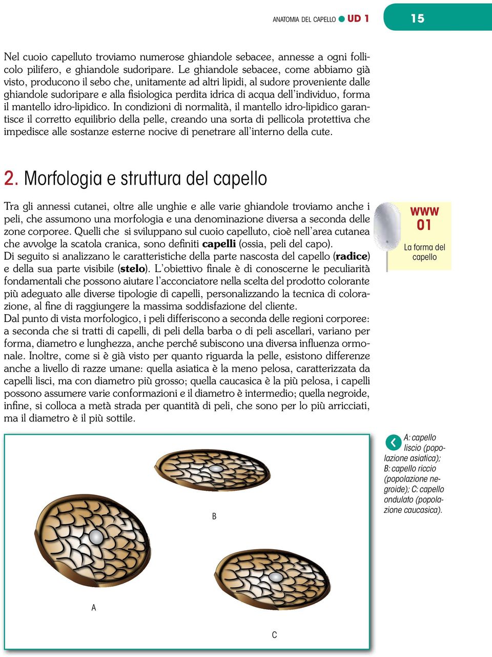 individuo, forma il mantello idro-lipidico.