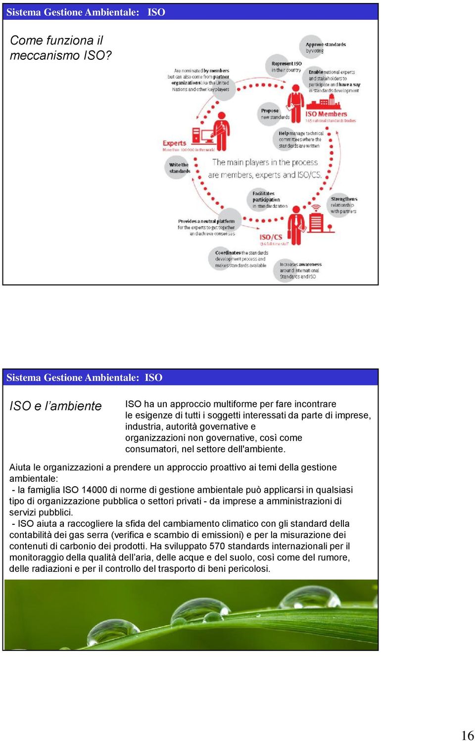 organizzazioni non governative, così come consumatori, nel settore dell'ambiente.