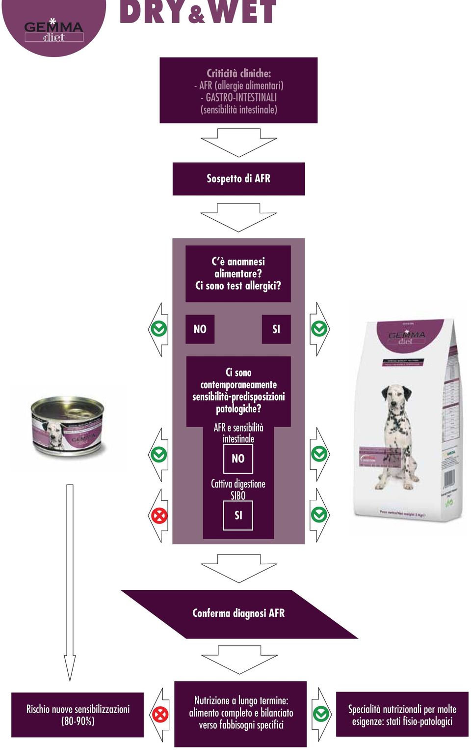 AFR e sensibilità intestinale NO Cattiva digestione SIBO SI Conferma diagnosi AFR Rischio nuove sensibilizzazioni (80-90%)