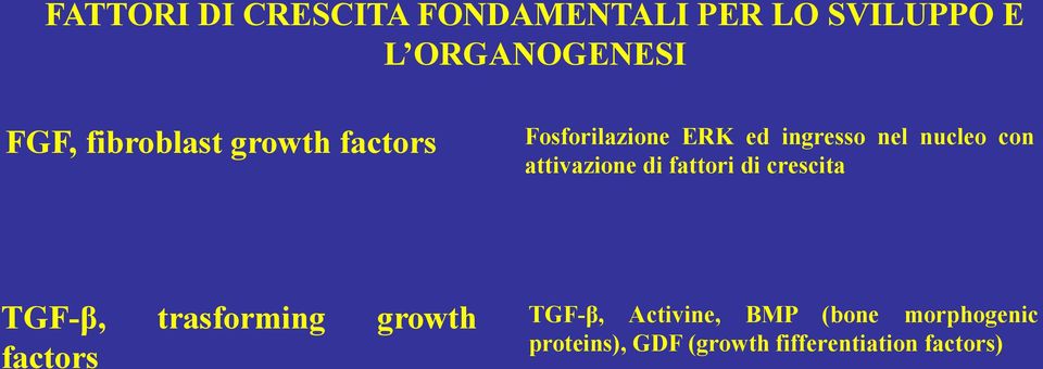 attivazione di fattori di crescita TGF-β, trasforming growth factors