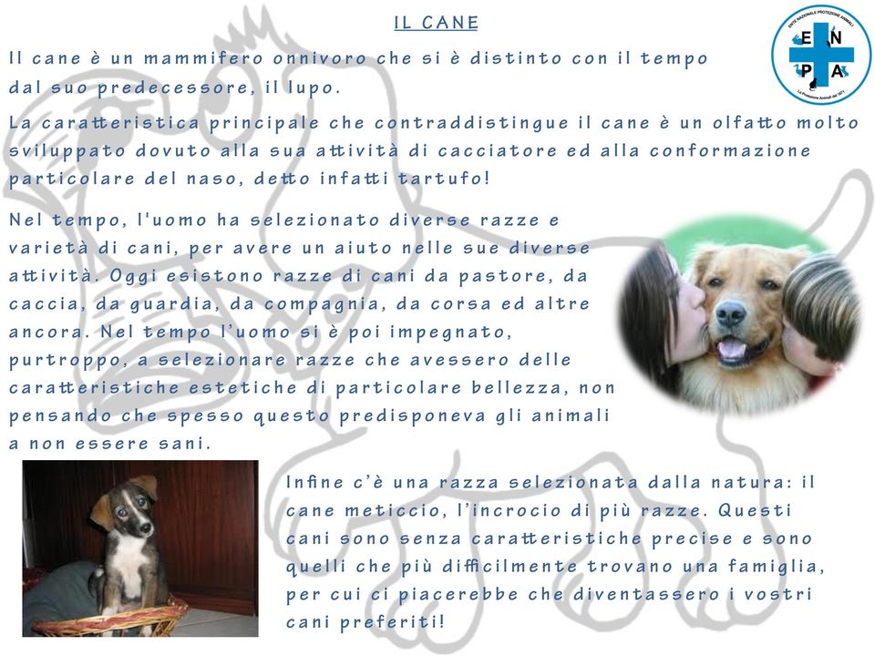 Nel tempo, l'uomo ha selezionato diverse razze e varietà di cani, per avere un aiuto nelle sue diverse a ività.