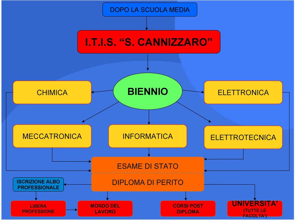 CANNIZZARO CHIMICA BIENNIO ELETTRONICA MECCATRONICA INFORMATICA