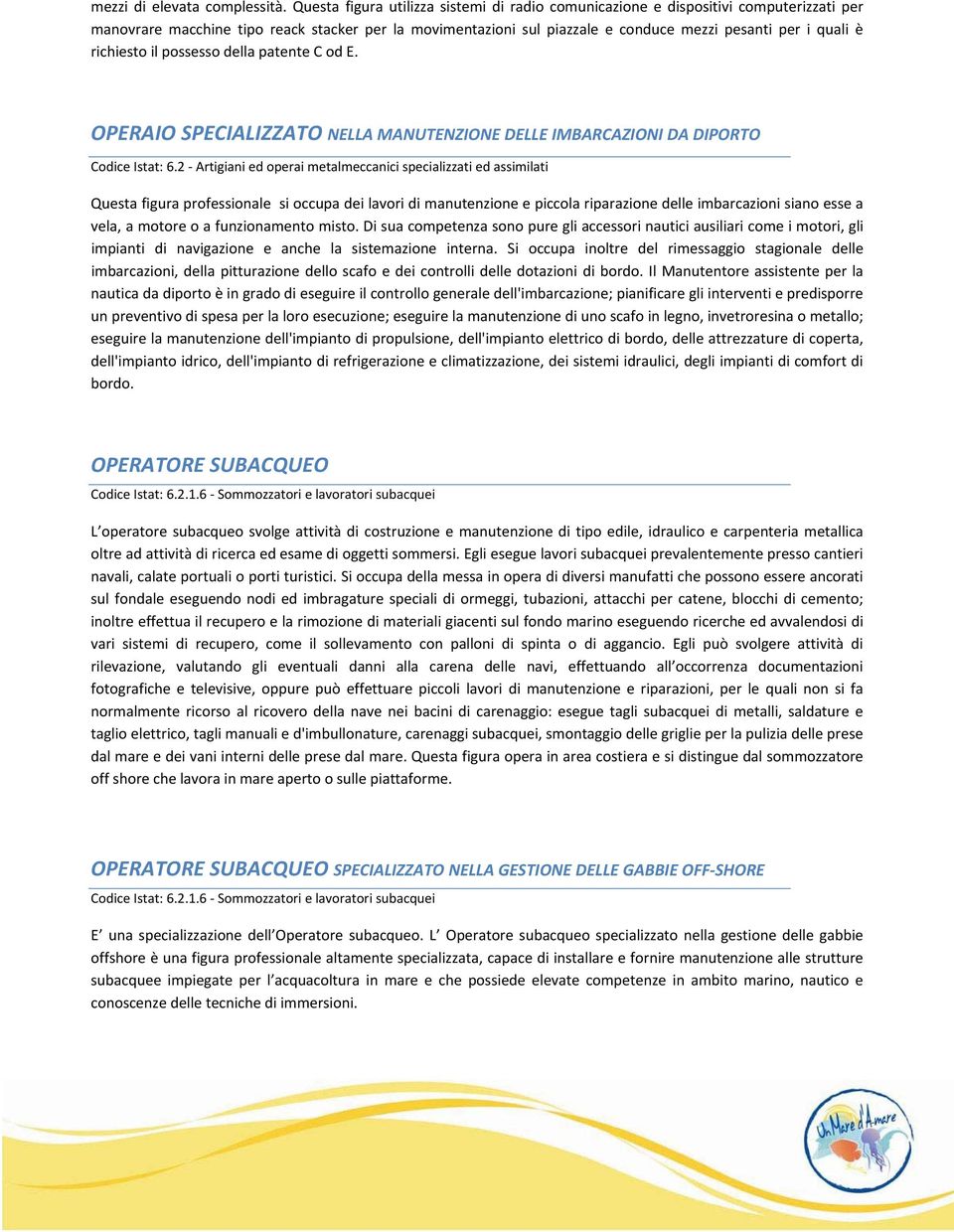 richiesto il possesso della patente C od E. OPERAIO SPECIALIZZATO NELLA MANUTENZIONE DELLE IMBARCAZIONI DA DIPORTO Codice Istat: 6.