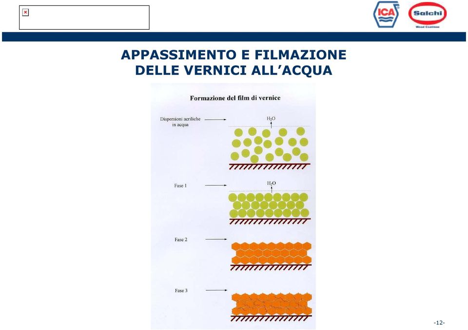 DELLE VERNICI