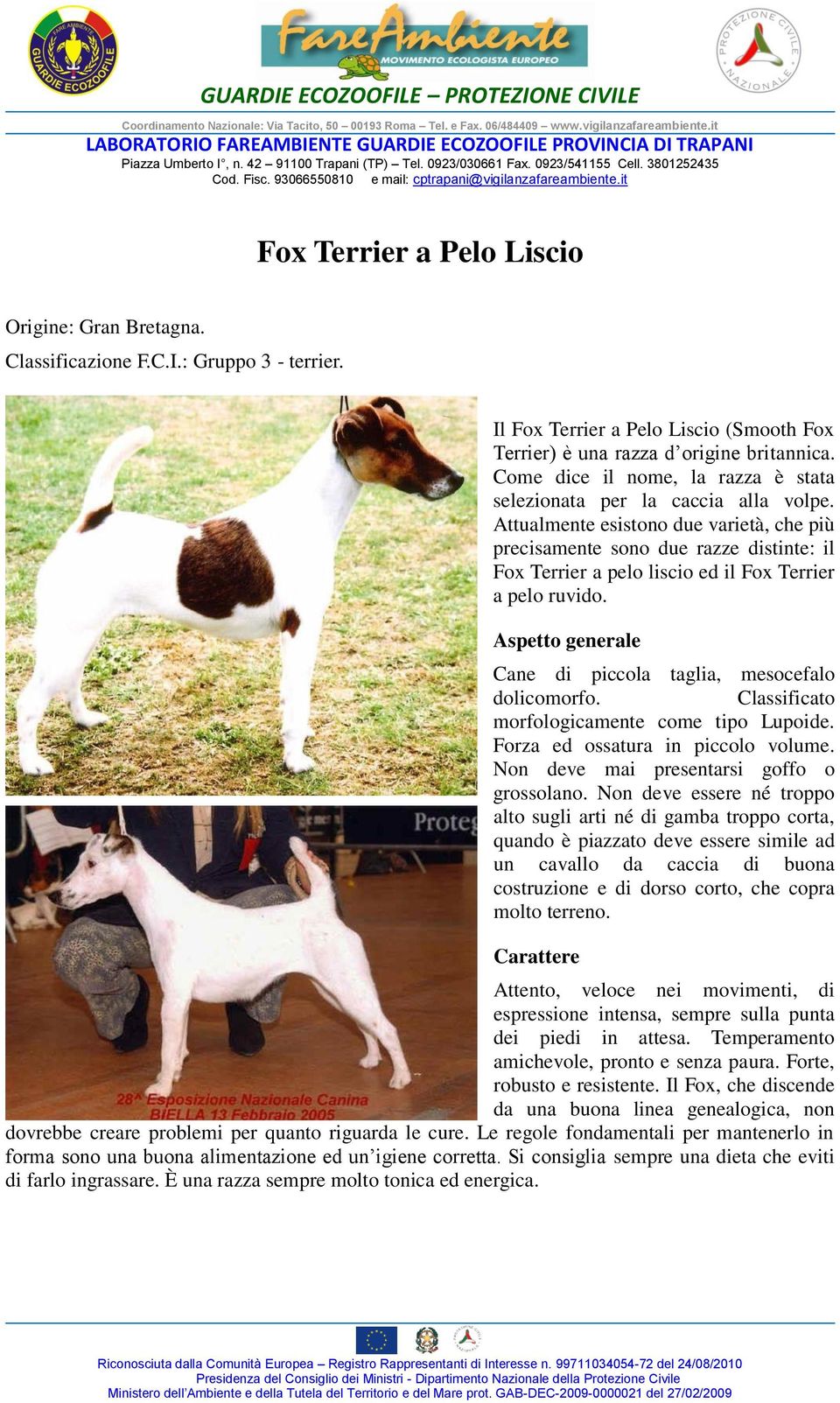 Attualmente esistono due varietà, che più precisamente sono due razze distinte: il Fox Terrier a pelo liscio ed il Fox Terrier a pelo ruvido. Cane di piccola taglia, mesocefalo dolicomorfo.