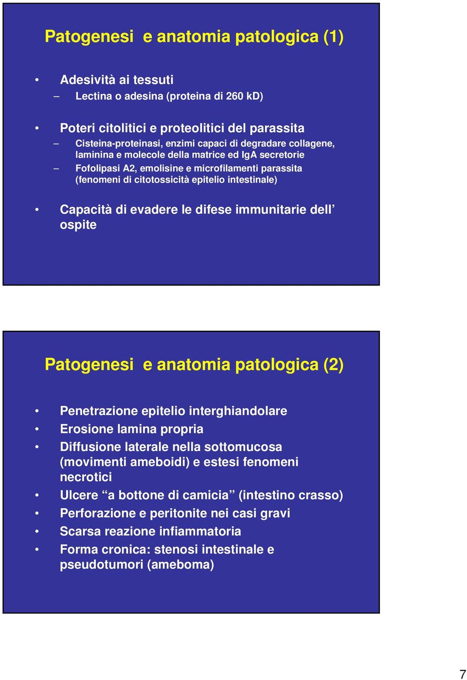immunitarie dell ospite Patogenesi e anatomia patologica (2) Penetrazione epitelio interghiandolare Erosione lamina propria Diffusione laterale nella sottomucosa (movimenti ameboidi) e estesi