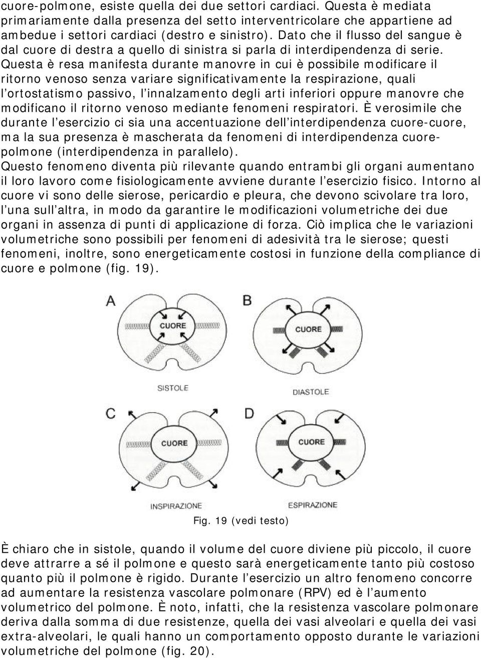 Questa è resa manifesta durante manovre in cui è possibile modificare il ritorno venoso senza variare significativamente la respirazione, quali l ortostatismo passivo, l innalzamento degli arti