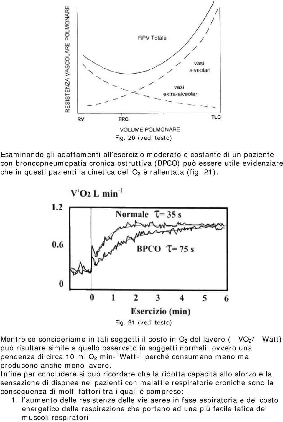 21 (vedi testo) Mentre se consideriamo in tali soggetti il costo in O 2 del lavoro (VO 2 /Watt) può risultare simile a quello osservato in soggetti normali, ovvero una pendenza di circa 10 ml O 2