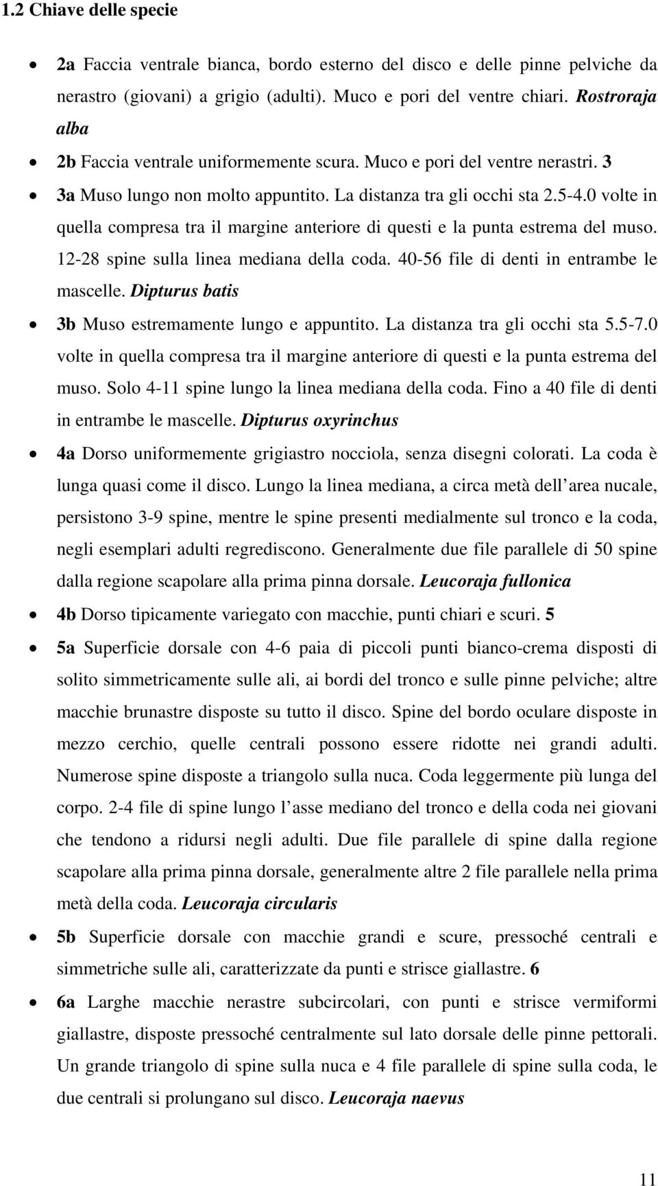 0 volte in quella compresa tra il margine anteriore di questi e la punta estrema del muso. 12-28 spine sulla linea mediana della coda. 40-56 file di denti in entrambe le mascelle.