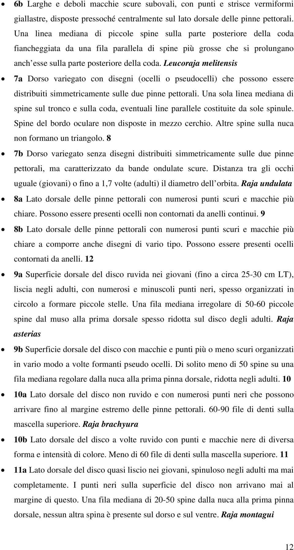 Leucoraja melitensis 7a Dorso variegato con disegni (ocelli o pseudocelli) che possono essere distribuiti simmetricamente sulle due pinne pettorali.