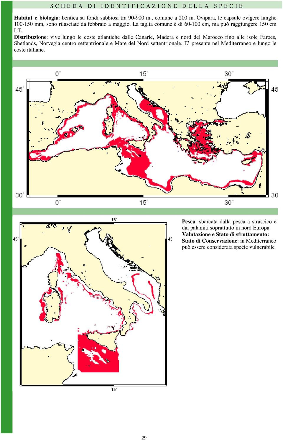 Distribuzione: vive lungo le coste atlantiche dalle Canarie, Madera e nord del Marocco fino alle isole Faroes, Shetlands, Norvegia centro settentrionale e Mare del Nord