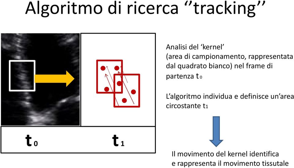 partenza t 0 L algoritmo individua e definisce un area circostante