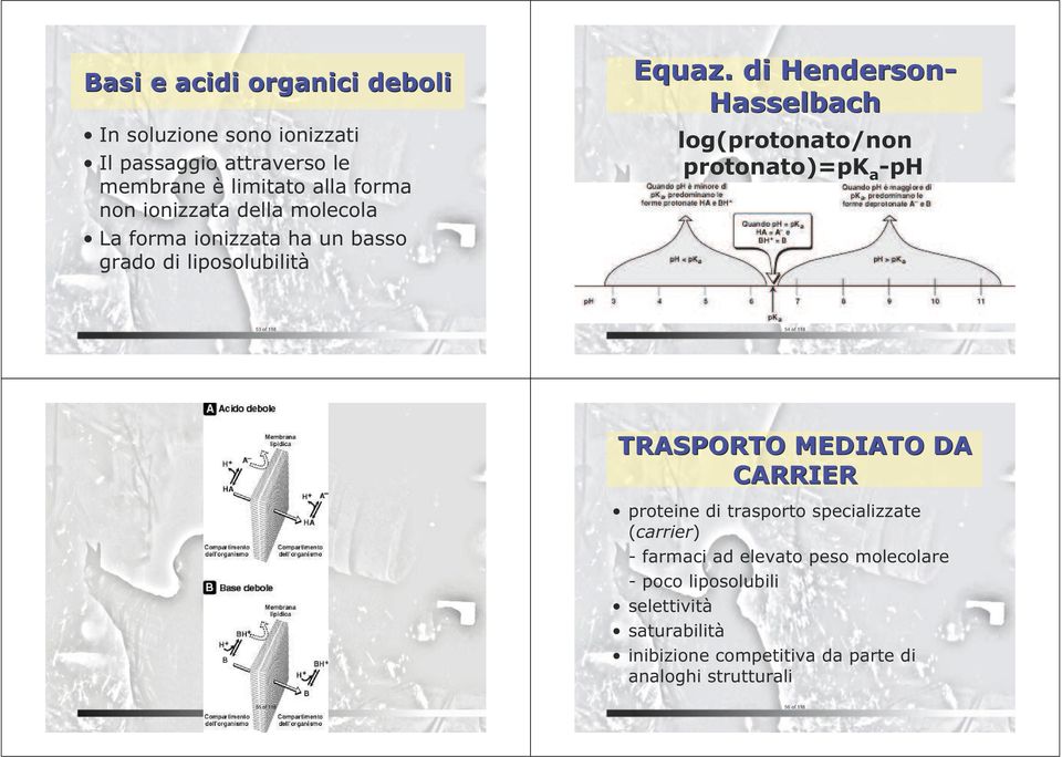 . di Henderson- Hasselbach log(protonato/non protonato)=pk a -ph 53 of 118 54 of 118 TRASPORTO MEDIATO DA CARRIER proteine di