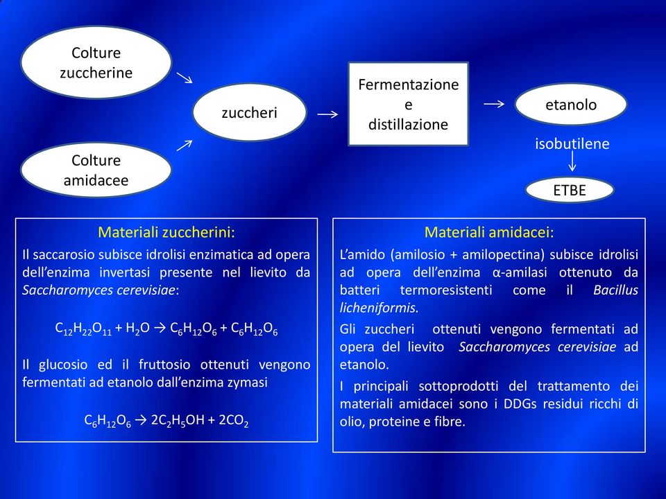 5 H + 2C 2 Materiali amidacei: L amido (amilosio + amilopectina) subisce idrolisi ad opera dell enzima α-amilasi ottenuto da batteri termoresistenti come il Bacillus licheniformis.