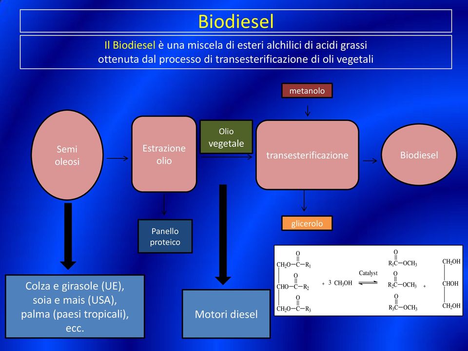 Biodiesel Panello proteico glicerolo Colza e girasole (UE), soia e mais (USA), palma (paesi tropicali), ecc.
