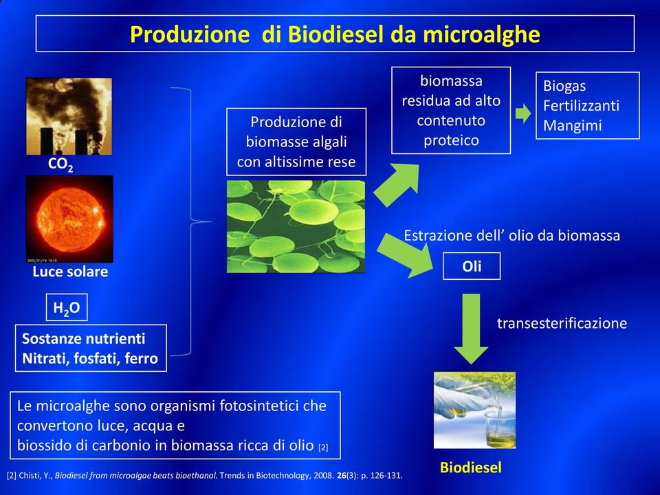 ferro transesterificazione Le microalghe sono organismi fotosintetici che convertono luce, acqua e biossido di carbonio in
