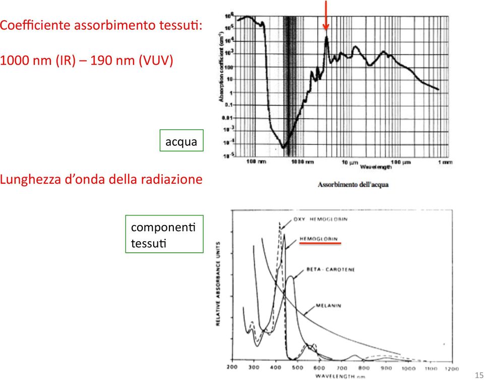 (VUV) acqua Lunghezza d onda