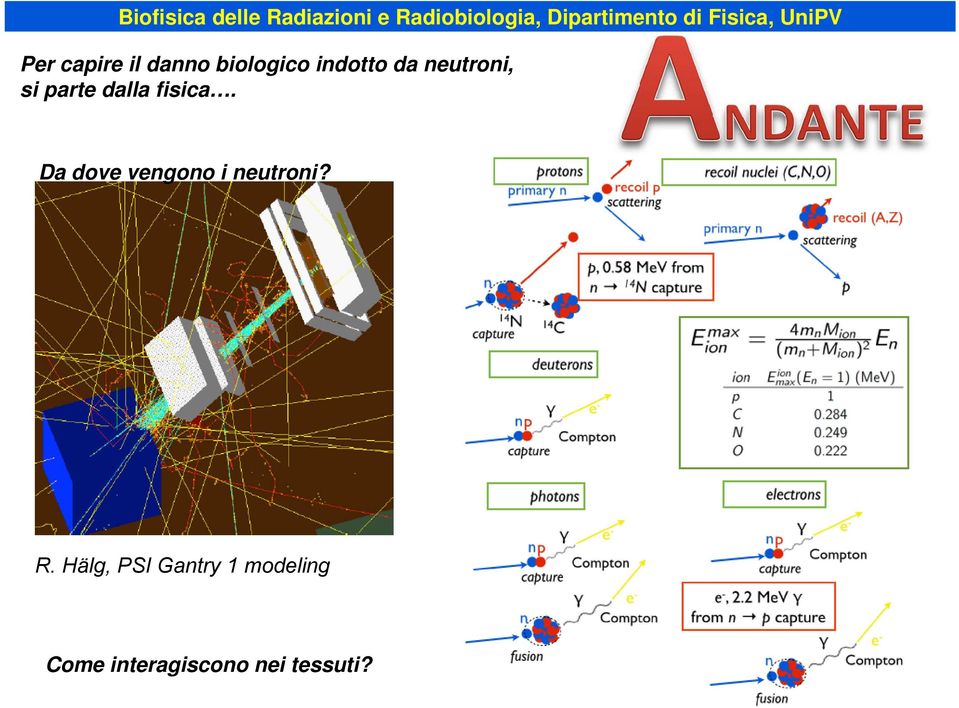 Da dove vengono i neutroni? R.