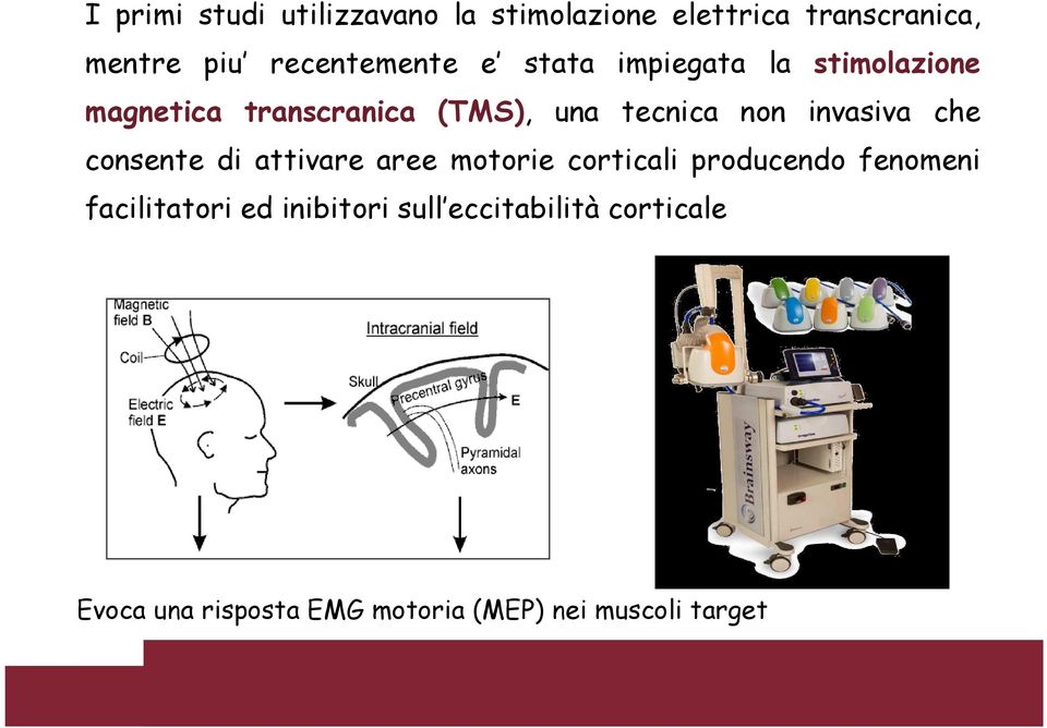 non invasiva che consente di attivare aree motorie corticali producendo fenomeni