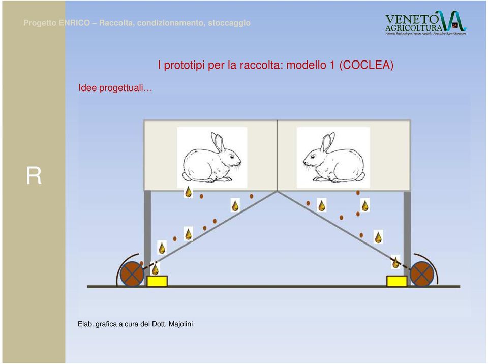 modello 1 (COCLEA) R Elab.