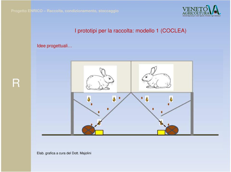 (COCLEA) Idee progettuali