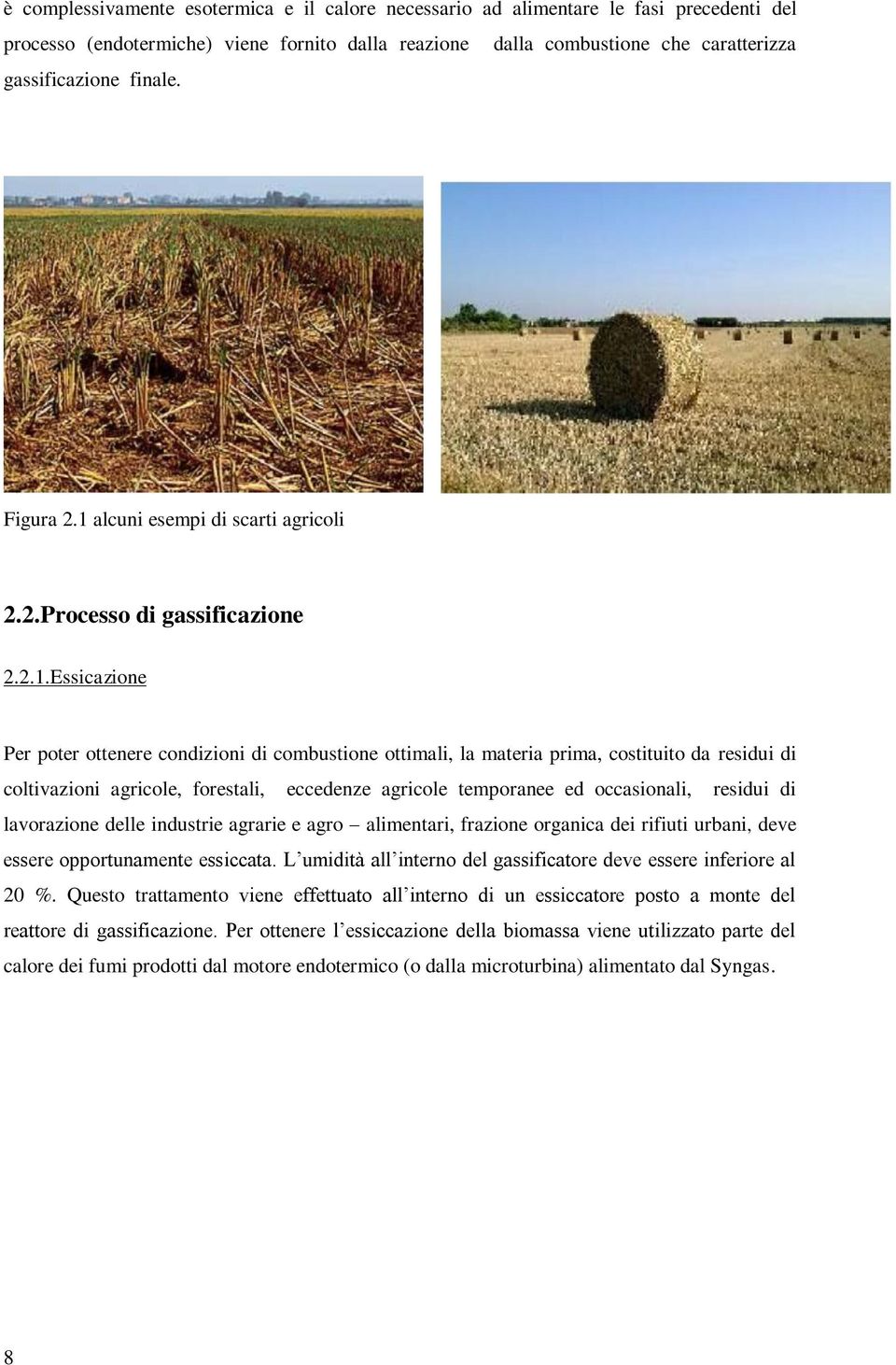 alcuni esempi di scarti agricoli 2.2.Processo di gassificazione 2.2.1.