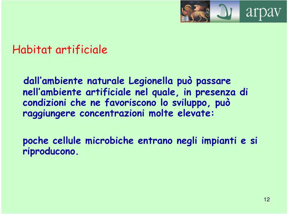 ne favoriscono lo sviluppo, può raggiungere concentrazioni molte