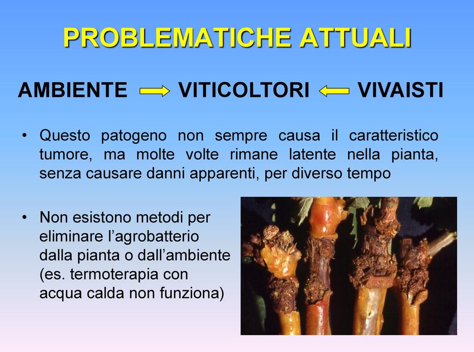 causare danni apparenti, per diverso tempo Non esistono metodi per eliminare l