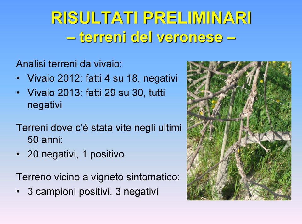 negativi Terreni dove c è stata vite negli ultimi 50 anni: 20 negativi, 1