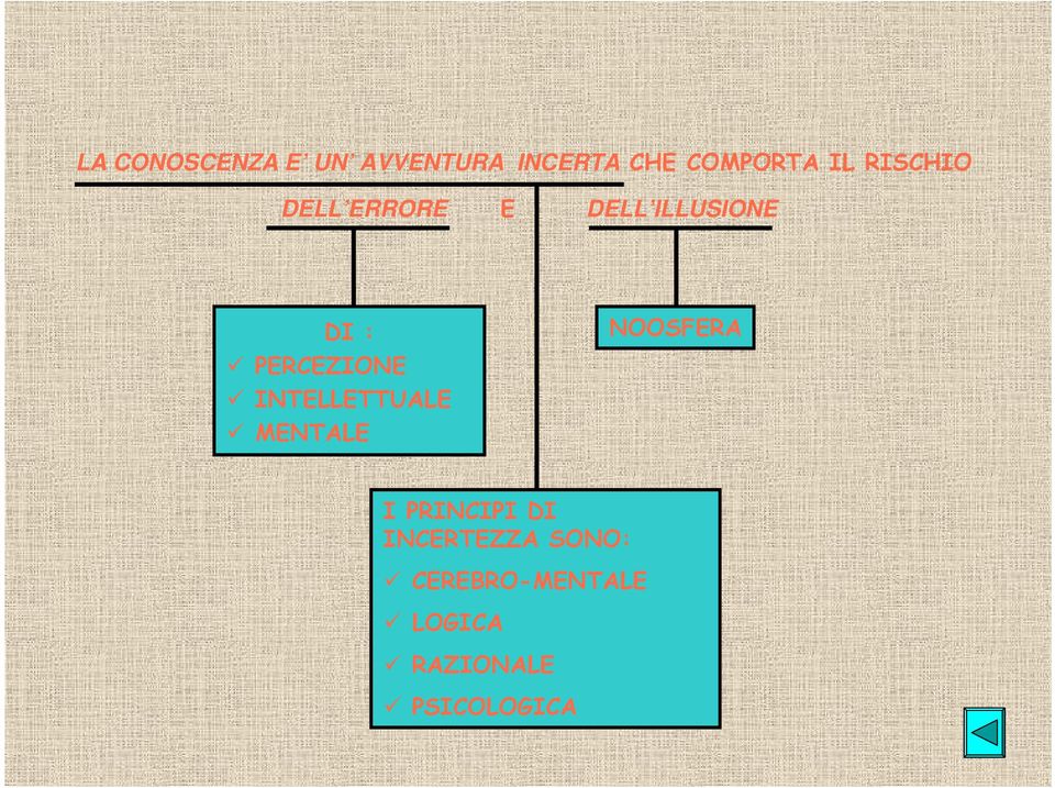 INTELLETTUALE MENTALE NOOSFERA I PRINCIPI DI