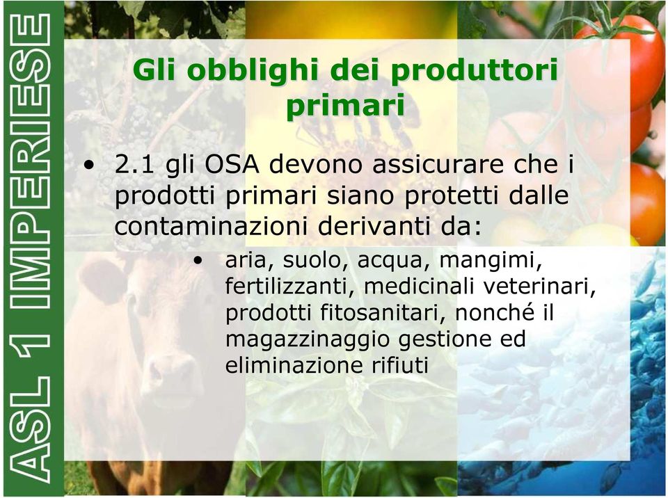 mangimi, fertilizzanti, medicinali veterinari, prodotti