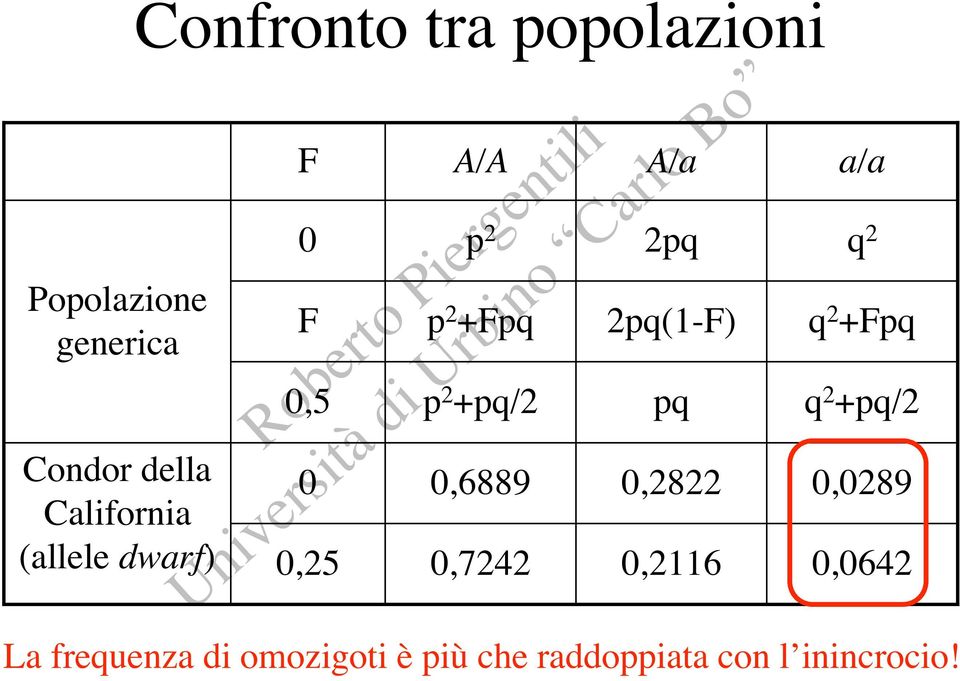 0,7242 A/a 2pq 2pq(1-F) pq 0,2822 0,2116 a/a q 2 q 2 +Fpq q 2 +pq/2