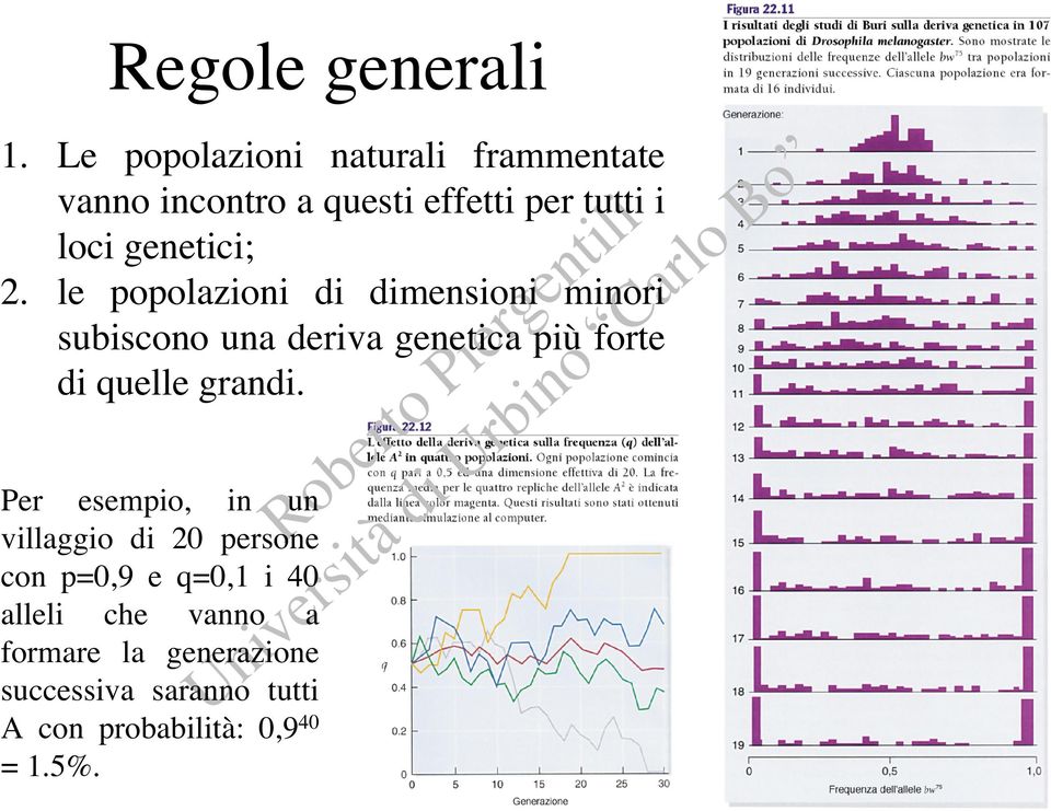 genetici; 2.