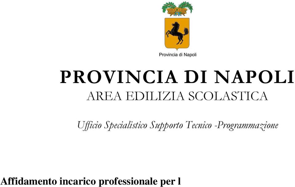 edifici Scolastici di competenza della Provincia di Napoli Disciplinare di Incarico I