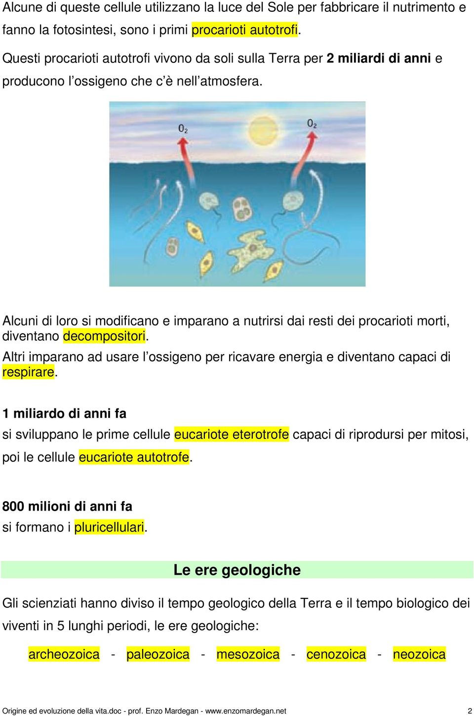 Alcuni di loro si modificano e imparano a nutrirsi dai resti dei procarioti morti, diventano decompositori. Altri imparano ad usare l ossigeno per ricavare energia e diventano capaci di respirare.